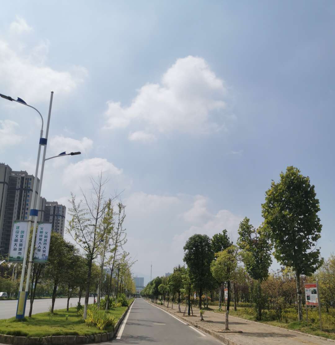 站前大道綠化-04